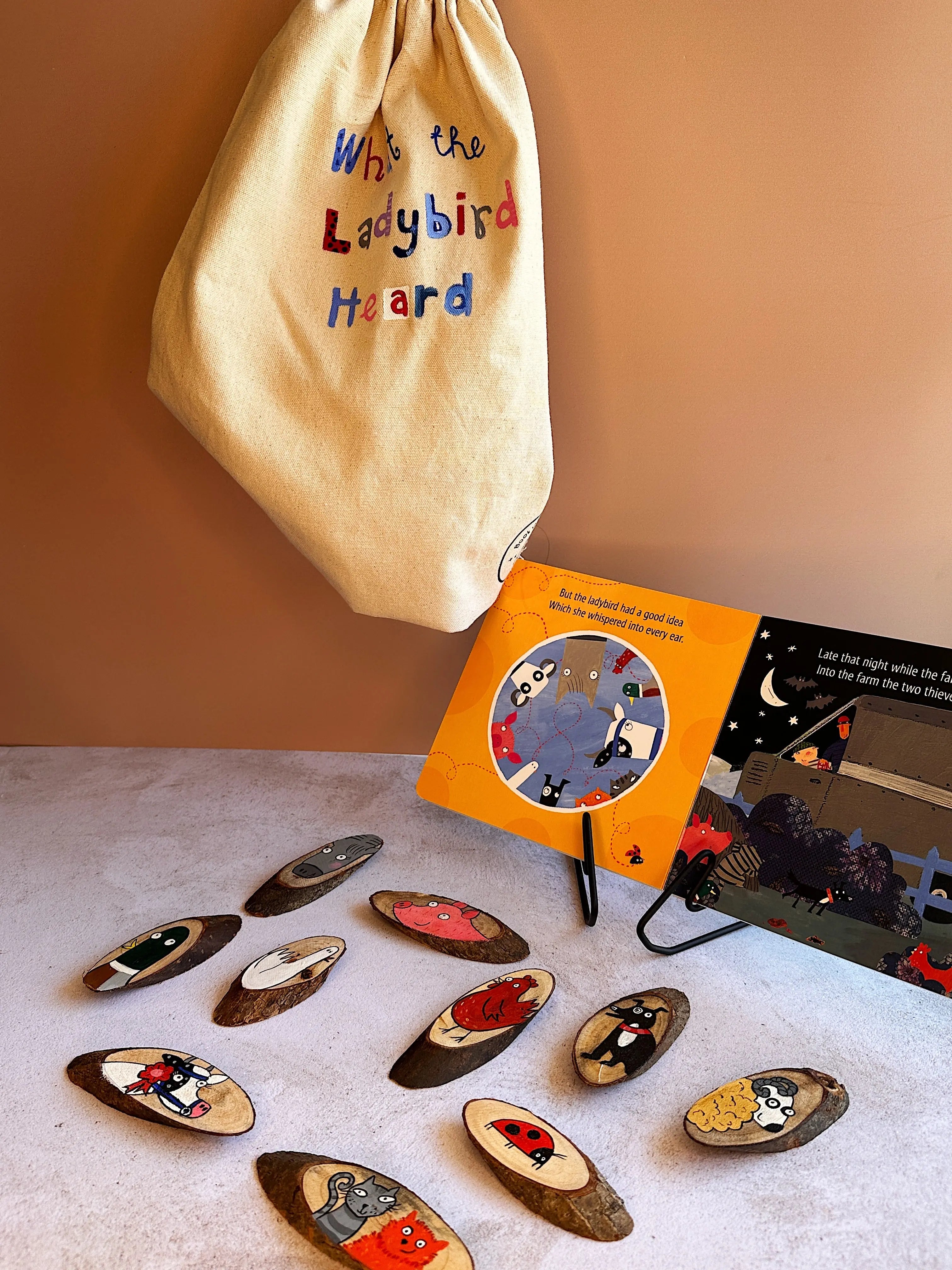 Book in a bag - What the lady bird heard Book in a bag