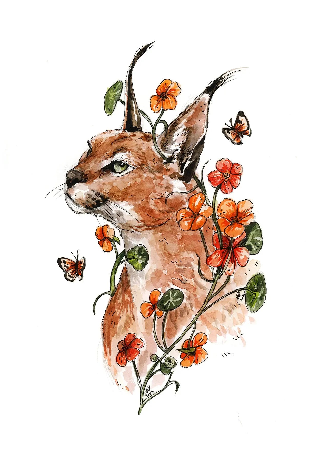 Caracal wild - Gift Card Mareli Illustrations