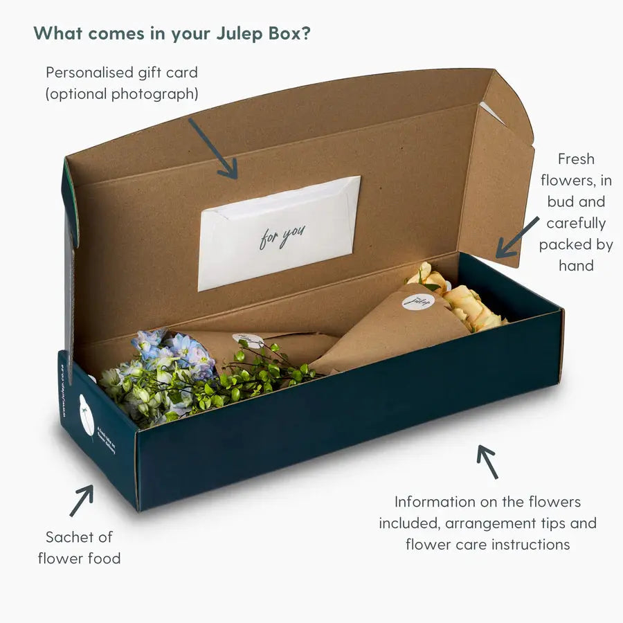 Julep Gift Voucher Julep