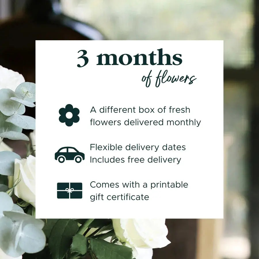Julep Monthly Subscriptions Julep