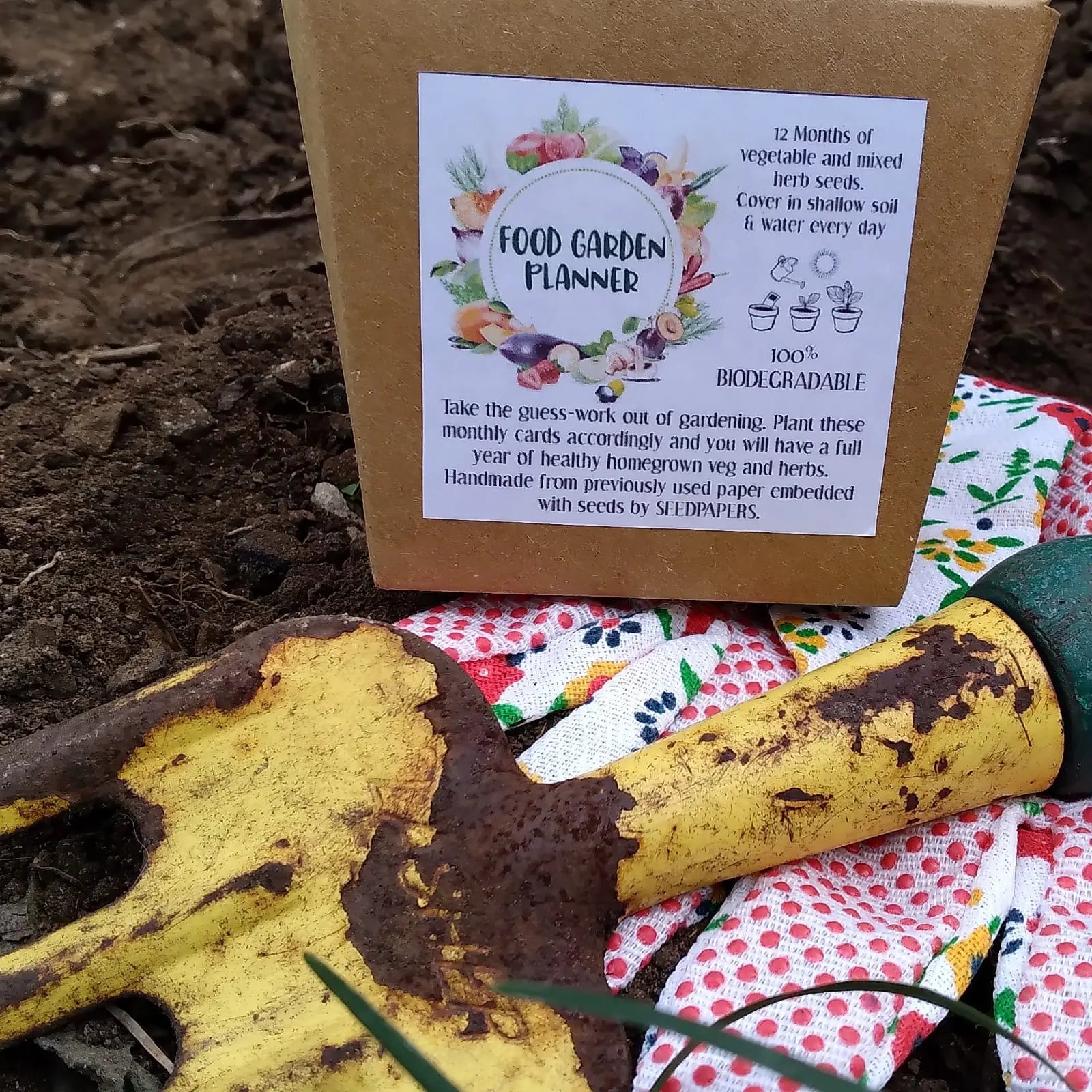 Seed paper food planner Bee Festive