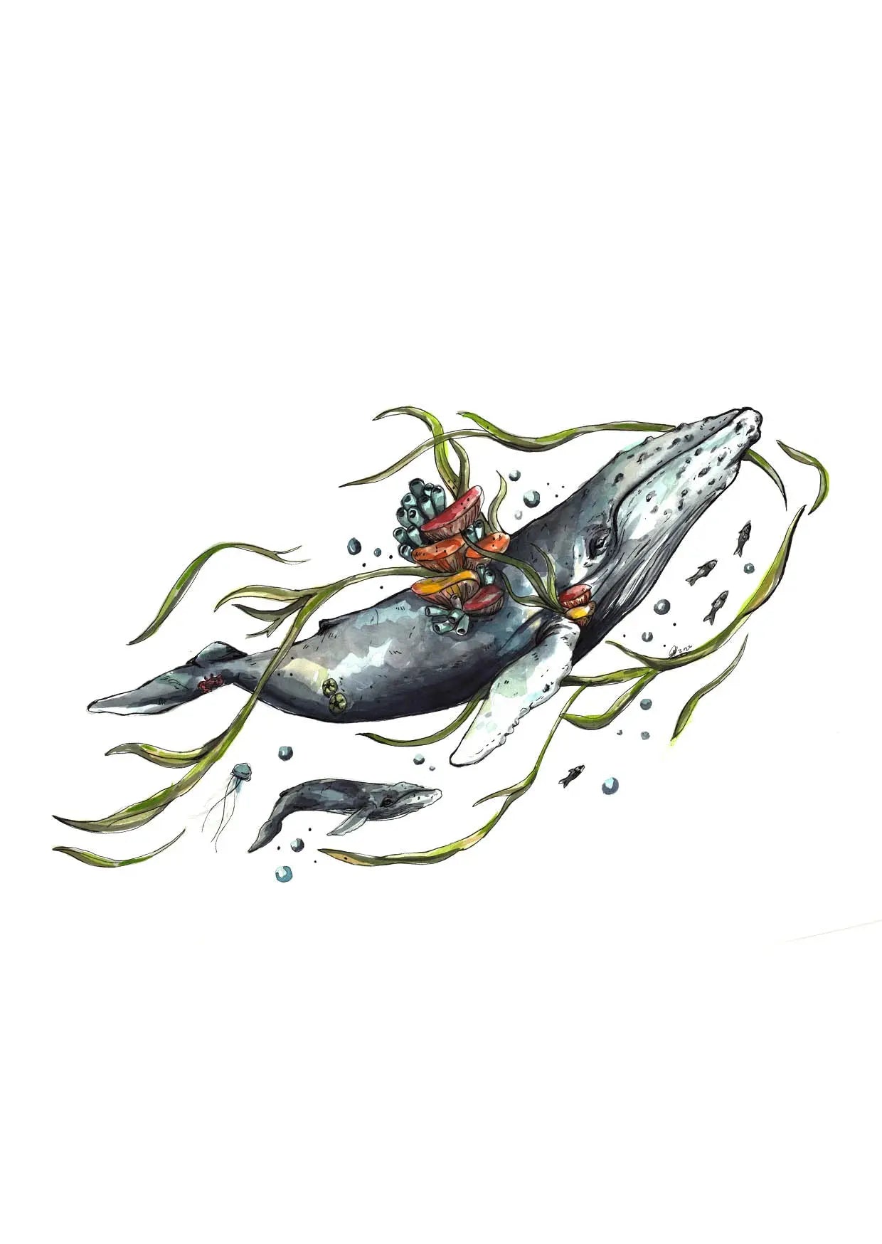 Snail and the Whale - Gift Card Mareli Illustrations