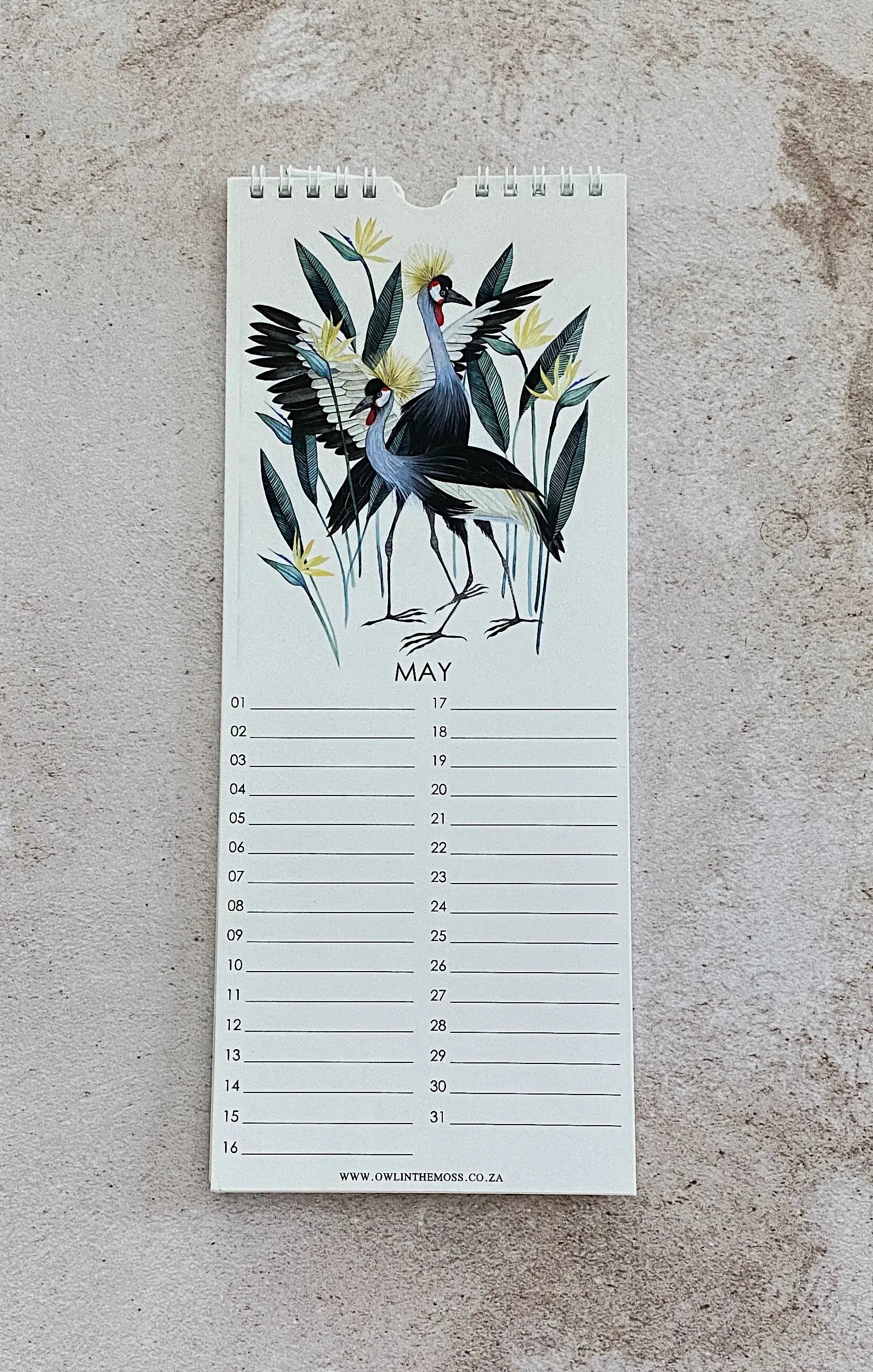 Special Events Calendar Owl in the moss