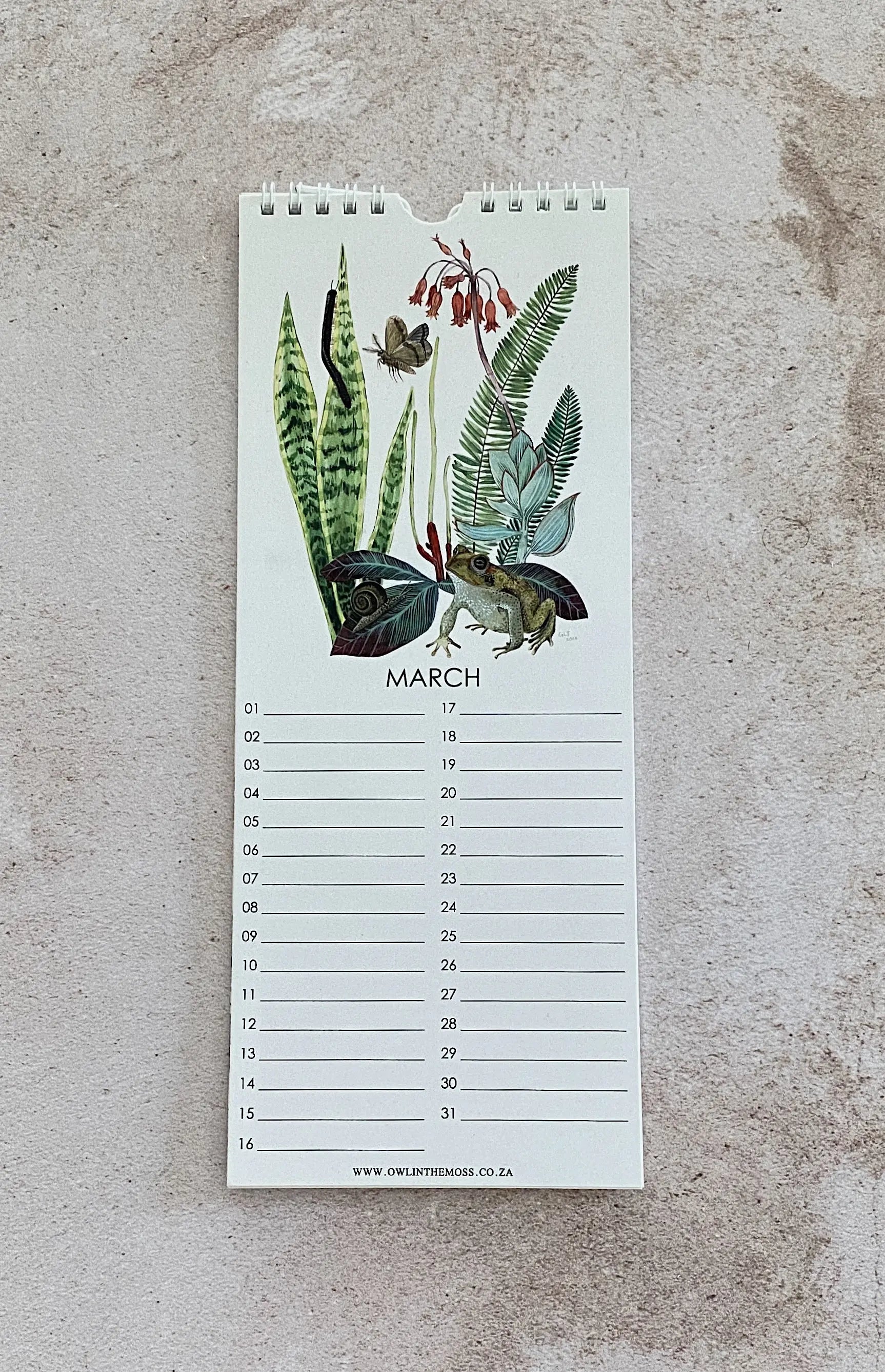 Special Events Calendar Owl in the moss