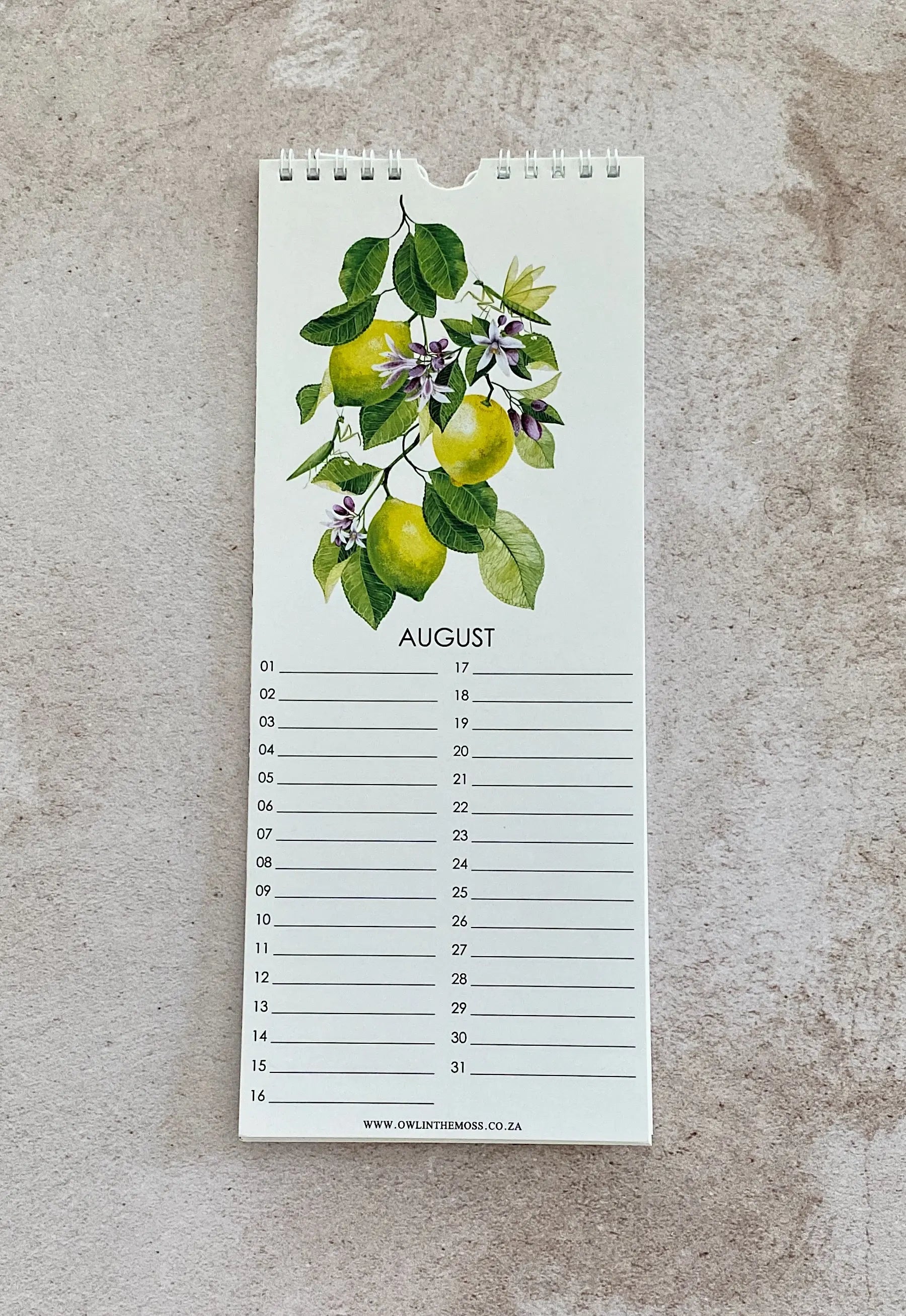 Special Events Calendar Owl in the moss
