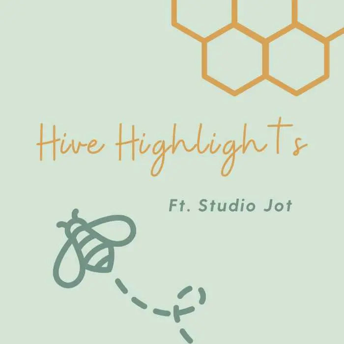 Hive Highlights ft. Studio Jot Bee Festive South Africa