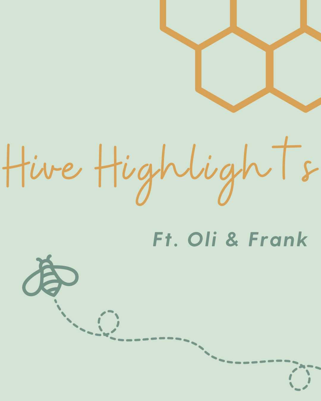Hive Highlights - Oli & Frank Bee Festive