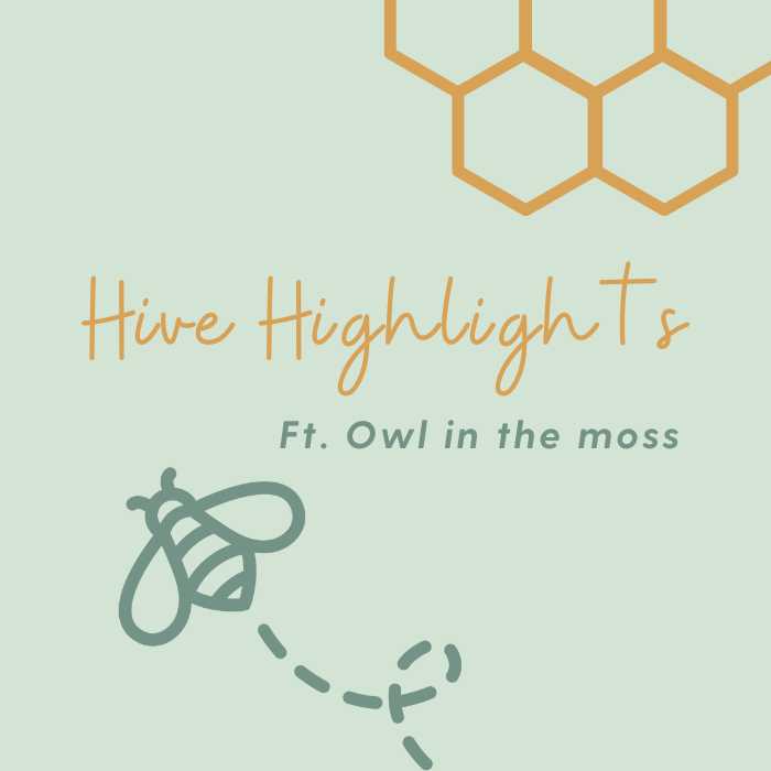 hive highlights blog ft owl in the moss