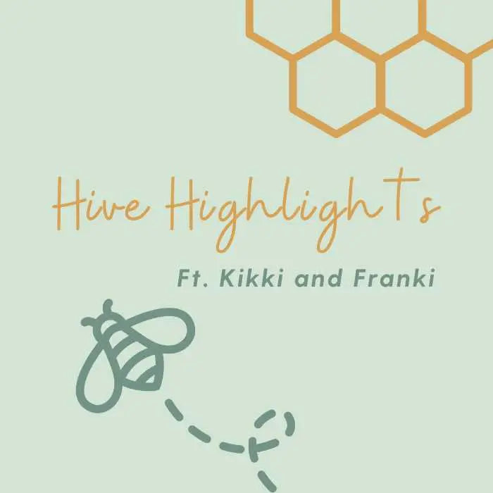 Hive Highlights Blog ft. Kikki and Franki Bee Festive South Africa