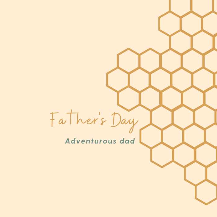 Adventurous dad fathers day south africa bee festive