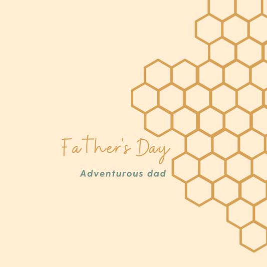 Adventurous dad fathers day south africa bee festive