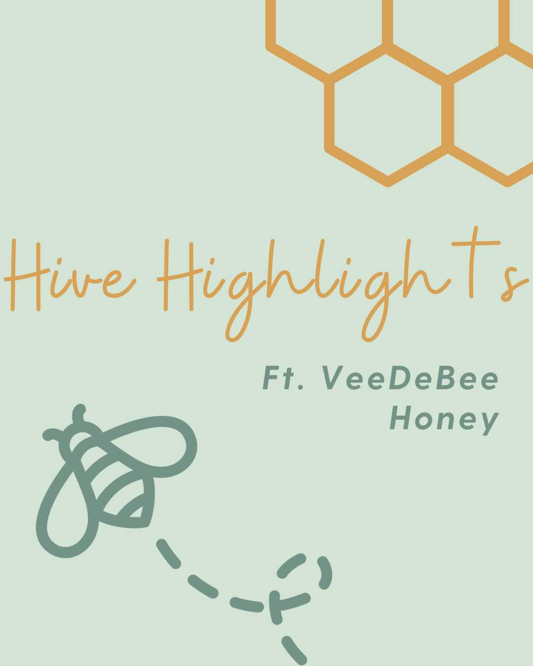 Hive Highlights ft. VeeDeBee Honey Bee Festive