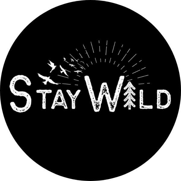 Stay Wild Bee Festive south africa caps