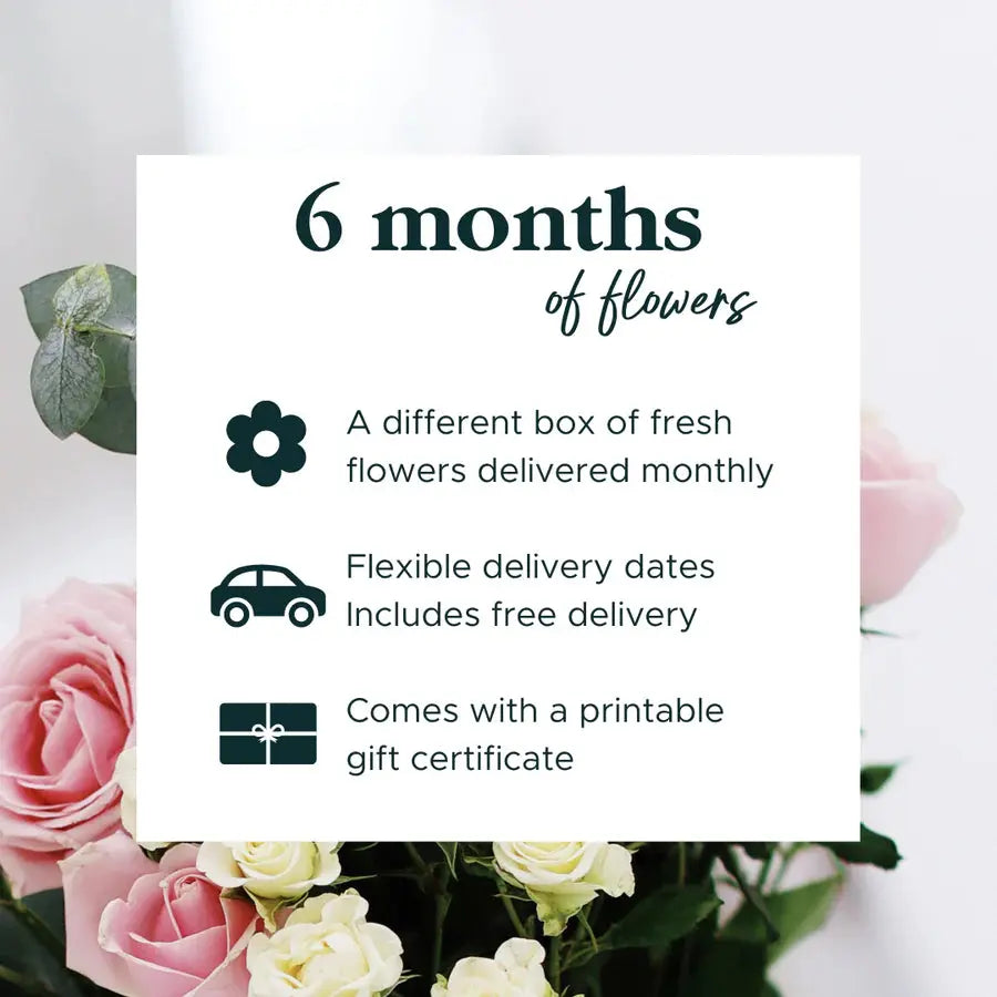 Julep Monthly Subscriptions Julep