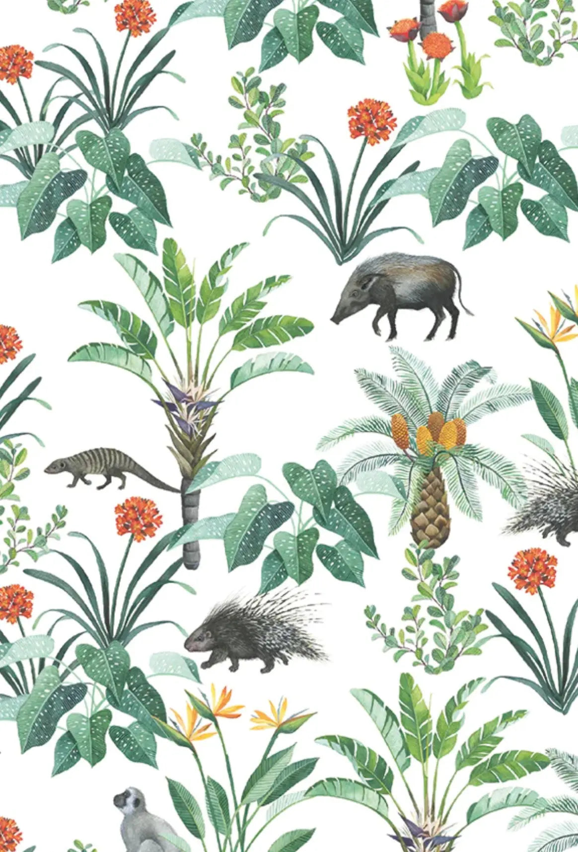 Napkins - African Safari - Bee Festive