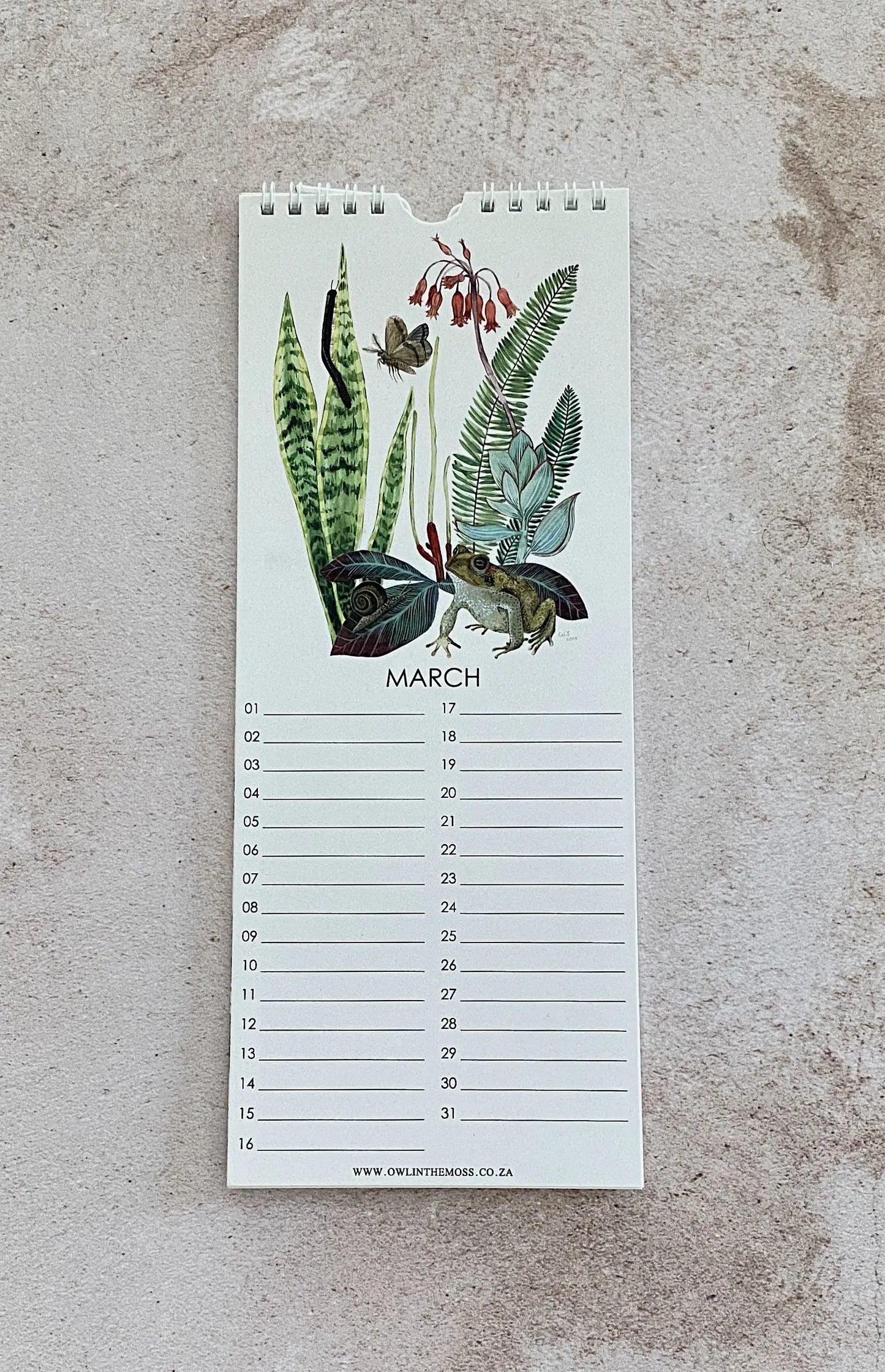 Special Events Calendar Owl in the moss